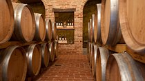 Barolo & CO: visit and tasting