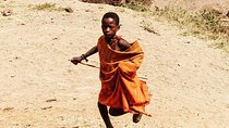 6 Days Tanzania Game drive camping Safari