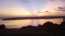 Amazing Primate Safaris