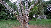Day Trip to Akwapim Range
