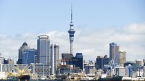 Auckland's Welcome Private Tour with a Local Experience
