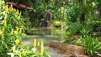 Konoko Falls and Park Private Tour