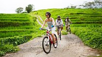 Bali UNESCO World Heritage Site: Jatiluwih Rice Paddy Cycling Tour