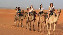 Book 5 days Tour private Van 8 Seats 