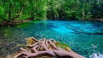 Amazing Full-Day Nature Discovery in Krabi