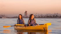 Kayak in Table Bay