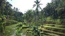 Bali Individual Route With Private English Speaking Driver