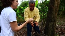  Private Navigation through Mangroves forest/ Beach time/ Chocolate experience