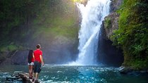 Bali Elephant Cave, Ubud, and Waterfall Private Tour with Lunch