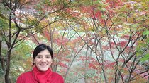 Tour by car with a Kyoto native away off touristy｜a local show you secret places