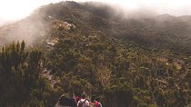 7 Days Kilimanjaro Lemosho route details