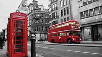 Total London Experience including Blue Badge Tour Guide