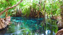 Chemka Hot Springs Tour from Moshi