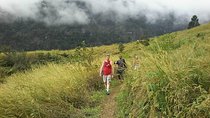 Private Breathtaking Koroyanitu Half Day Waterfall Hike