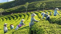 Private Da Lat 3 Days 2 Nights From Saigon