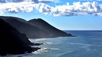 Boutique Great Ocean Road, wildlife and Rainforest Experience