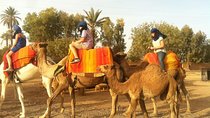 Marrakech Camel Ride Tour