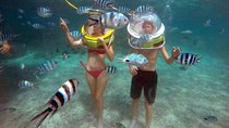 Mesmerizing Ile aux Cerf: Speed Boat, GRSE, Lunch & Undersea walk (Full Day)