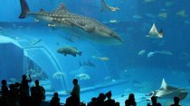 Aquario Tour - Rio de Janeiro