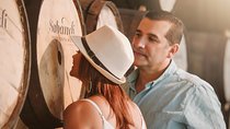 Rum Tasting Experience & Palo Verde Boat Tour
