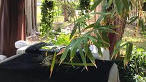 Couples Outdoor Bamboo Garden Massage or Ultimate Candlelight Signature Massage