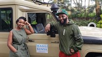 Nairobi National Park/elephant Sanctuary/giraffe Centre & Lunch At Carnivore 