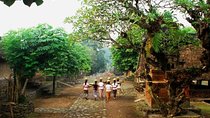 A Cultural Journey In East Bali: Bali Aga Trekking Tour
