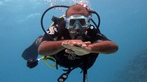 Daily Dive Trip with Two Dive Sites
