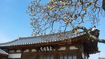 Andong Hahoe Village [UNESCO site] Premium Private Tour from Seoul