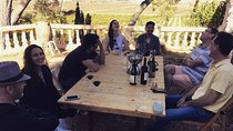 Singular Valencia Wine Tour Utiel Requena Wineries