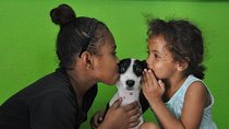 Shelter Visit & Tour