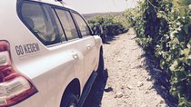 Judean Hills Wine Tasting Tour From Tel Aviv