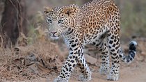 Rajasthan with Gujarat Tour