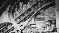 Private Photo Session with a Local Photographer in Bologna