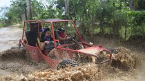 Platinum Buggy Adventure