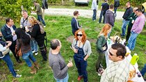 Wines Unknown - Istrian nOrdinary Wine tour