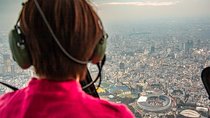 30-Min Tokyo Central Heli Tour for 3 – Asakusa, Skytree, Shinjuku