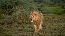 6 Days Safari Wildlife and Culture Tour