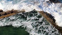 Sydney harbour and ocean beaches, Ku-Ring-Gai National Park