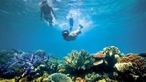 Bali Snorkeling At Blue Lagoon Padang Bai