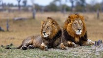 5 Days Budget Mid Range Safari Tour Tanzania
