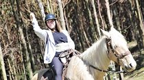 Adrenalin Mystic Tour Full Service 