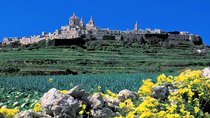 Mdina, Rabat, Dingli cliffs, San Anton gardens, Ta' Qali & Mosta guided tour