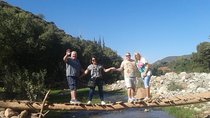 Group day tour to Atlas Mountains from Marrakech