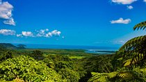 Cape Tribulation Day Tour 