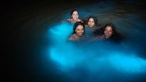 Jamaica Luminous Lagoon Private Tour with Transportation 
