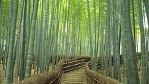 Kyoto Day Trip using Private Car with English Driver (up to 5)