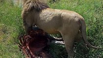 9 Days Budget Lodge Safari Tour 