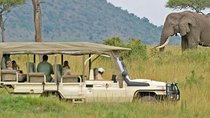 Cape Town 2-Days Aquila Safari Overnight & Robben Island Getaway