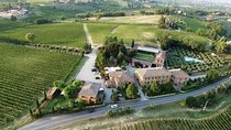 Tasting of the noble wine of Montepulciano, visiting Pienza, from Rome